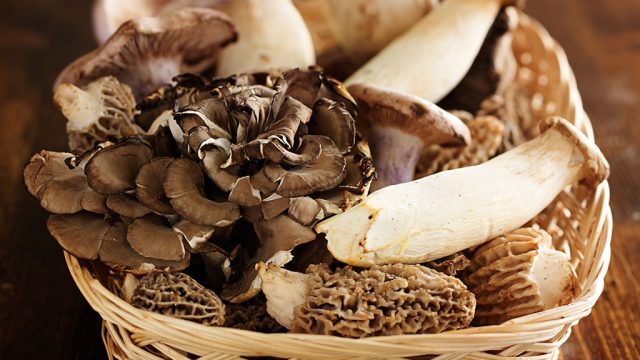 wild mushrooms in basket