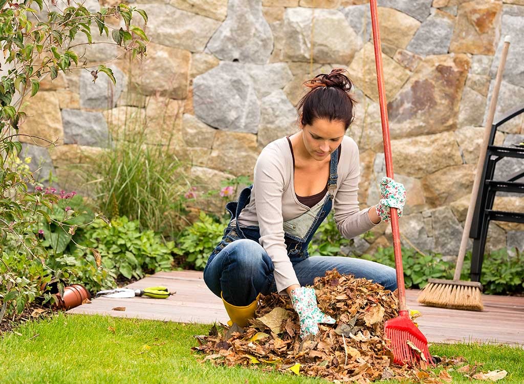 Raking leaves chores.jpg