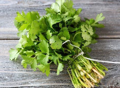 Why Do Some People Hate Cilantro So Much?