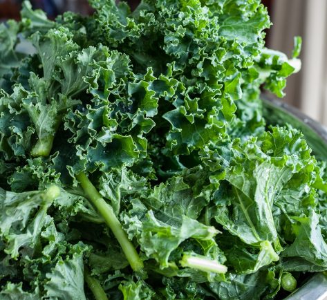 10 Nutrition Myths—Busted!