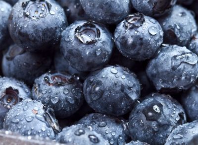 wet blueberries close up