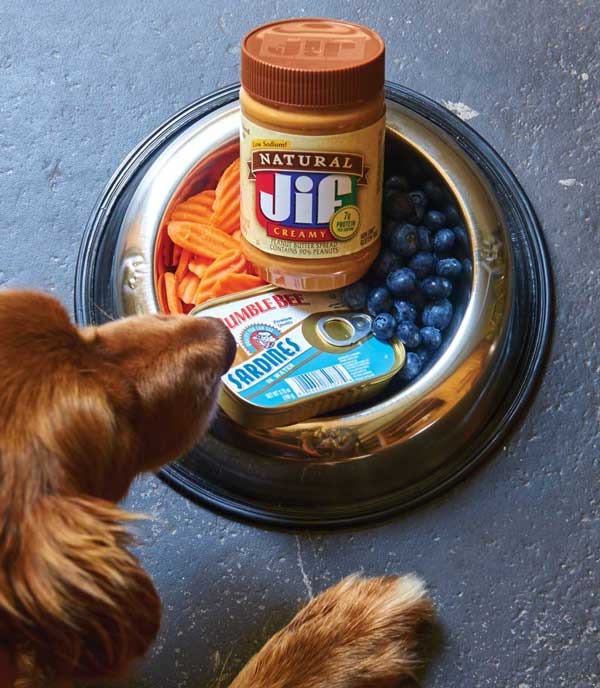 Superfoods for dogs new.jpg
