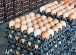 This State Is Facing an Imminent Egg Shortage