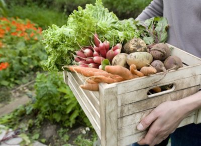 15 Things You Should Only Buy at the Farmers' Market