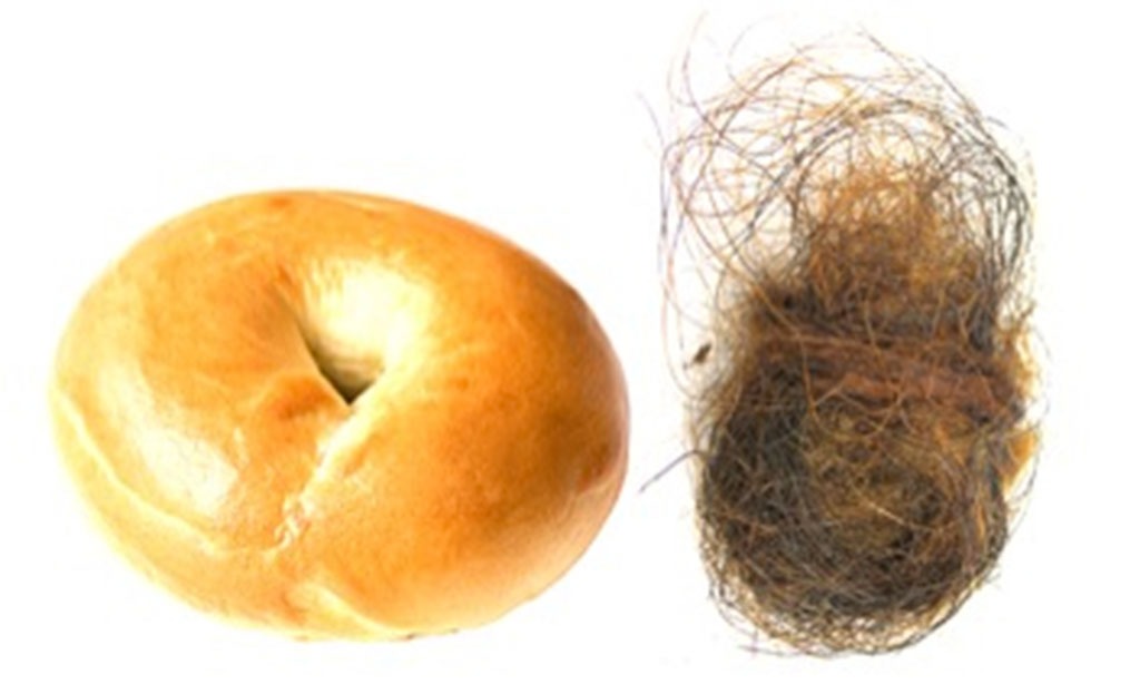 human hair in bread