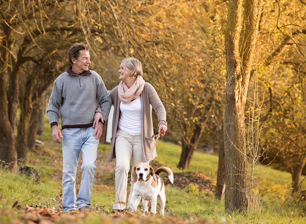 couple walking dog