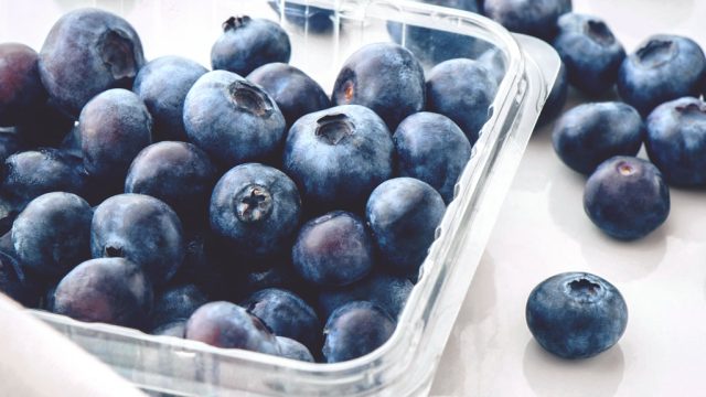 Fresh blueberries plastic pint