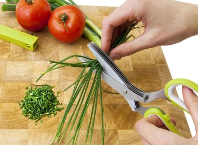 Chef'n Herb Scissors