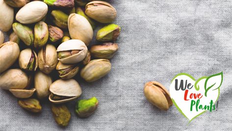 11 Best Healthy Plant-Based Snack Ideas