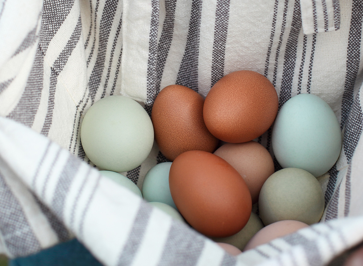 Blue brown organic eggs