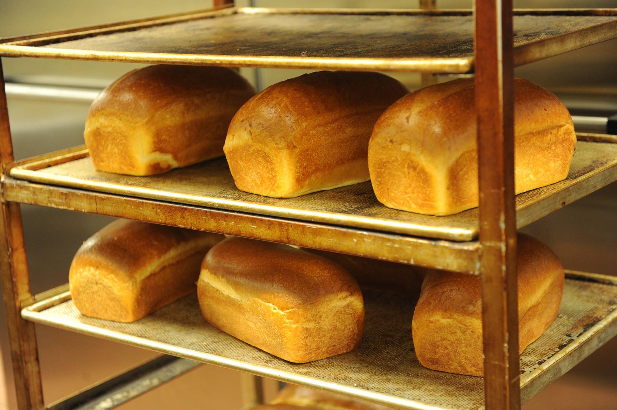 Panera Bread loaves