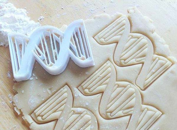 DNA cookie cutter