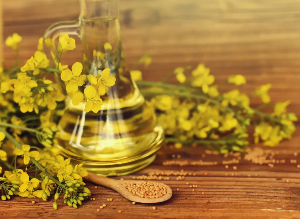 Rapeseed canola oil - omega 3 foods