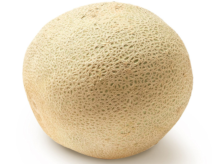 Cantaloupe