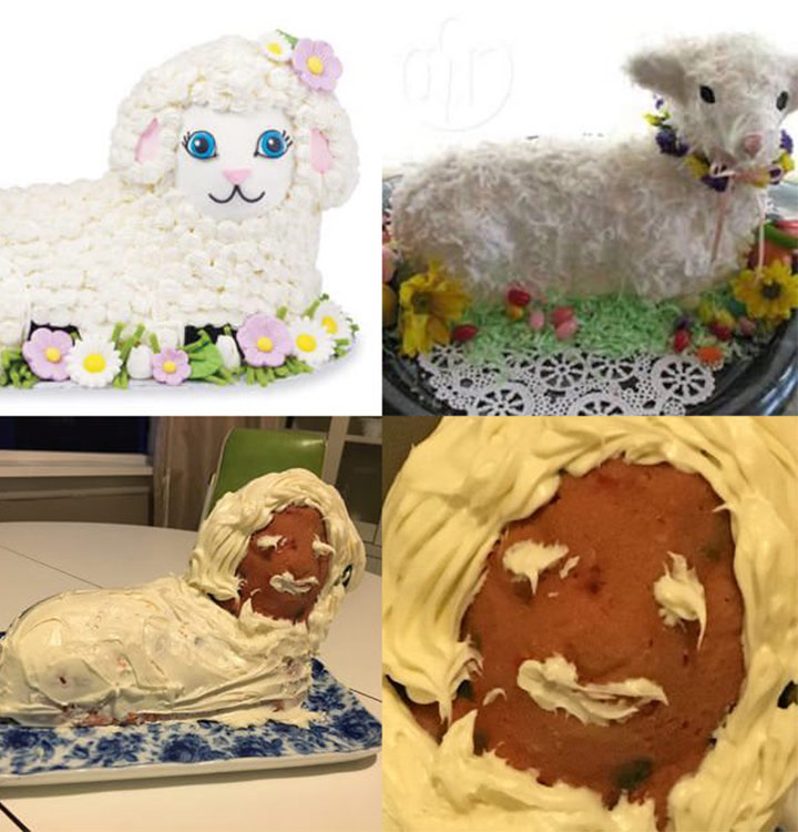 Food fail sheep cake