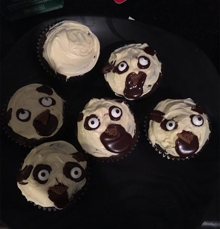 Food fails pug cupcakes