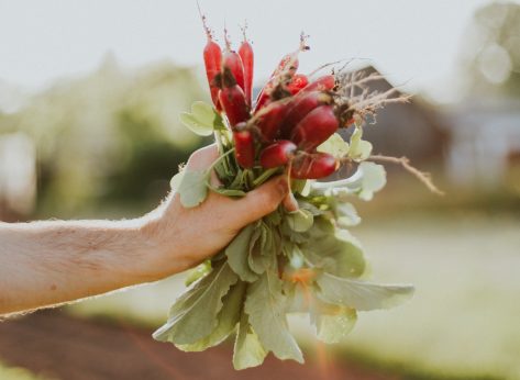 4 Organic Facts That are Totally Bogus