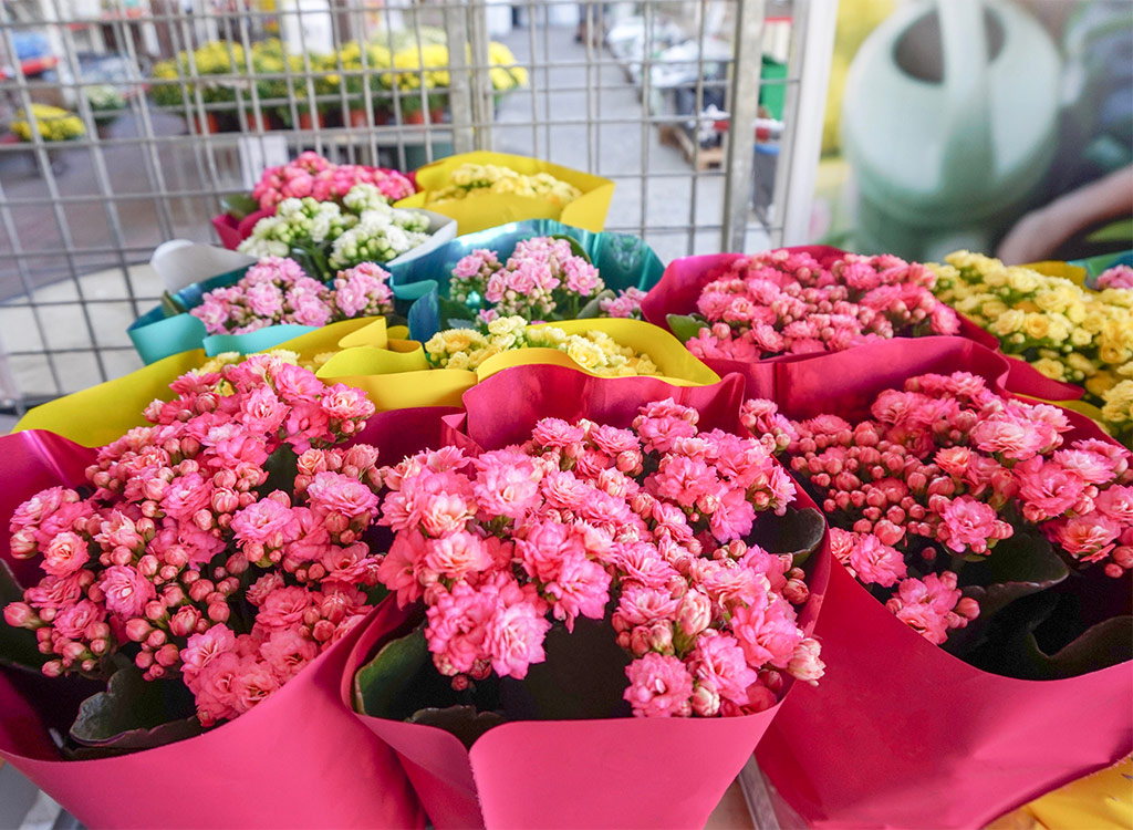 Flowers in front of supermarket