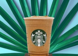 Starbucks cacao protein blended cold brew