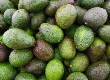 Avocados at different stages of ripeness