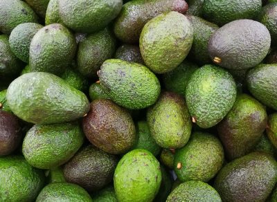 Avocados at different stages of ripeness