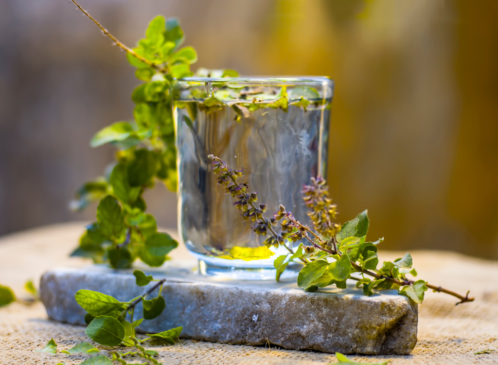 Tulsi tea