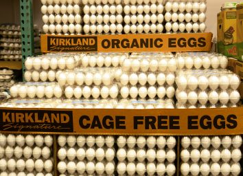 cartons of costco eggs