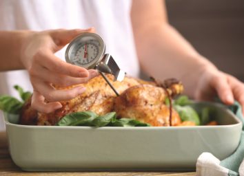 Meat thermometer turkey