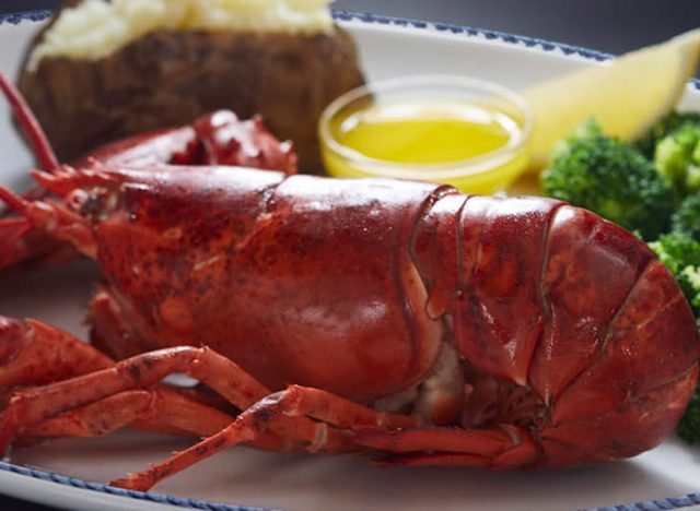 Live maine lobster