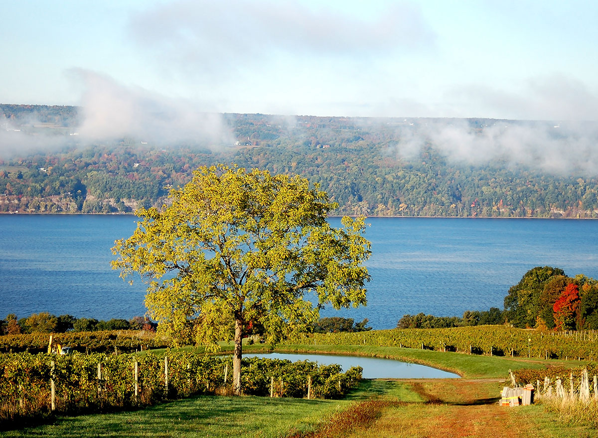 Natural public. Фингер Лейкс озера. Finger Lakes New York. I Lake NY. American attraction.