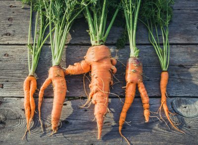 Imperfect produce ugly carrots