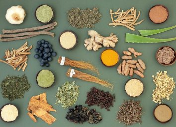 layed out adaptogens on green backdrop