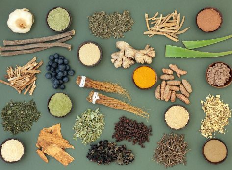 A Guide to Medicinal Plants and Adaptogens 