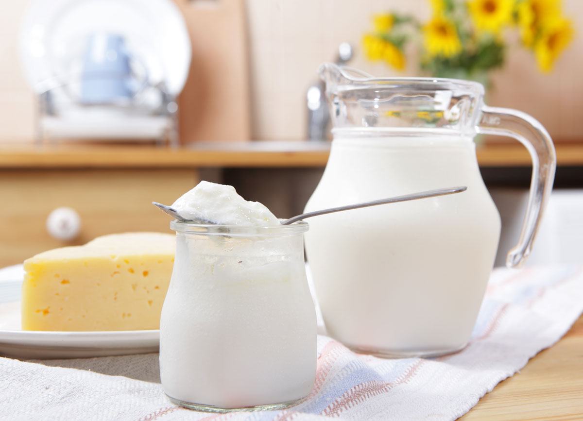 Dairy products like pitcher milk container yogurt cheese on tablecloth