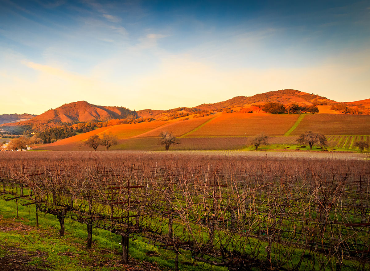 sonoma california best food city
