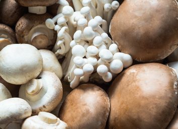 various types of mushroom