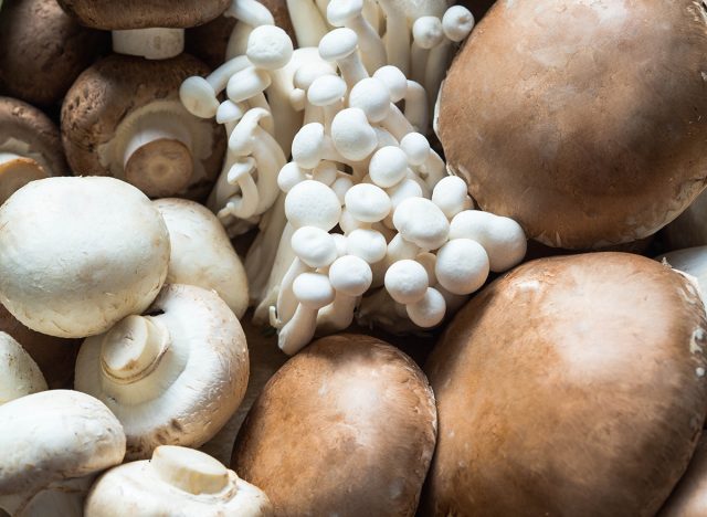various types of mushroom