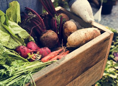 organic vegetables in wooden crate