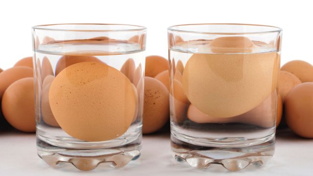 How to tell if eggs are good with egg float test