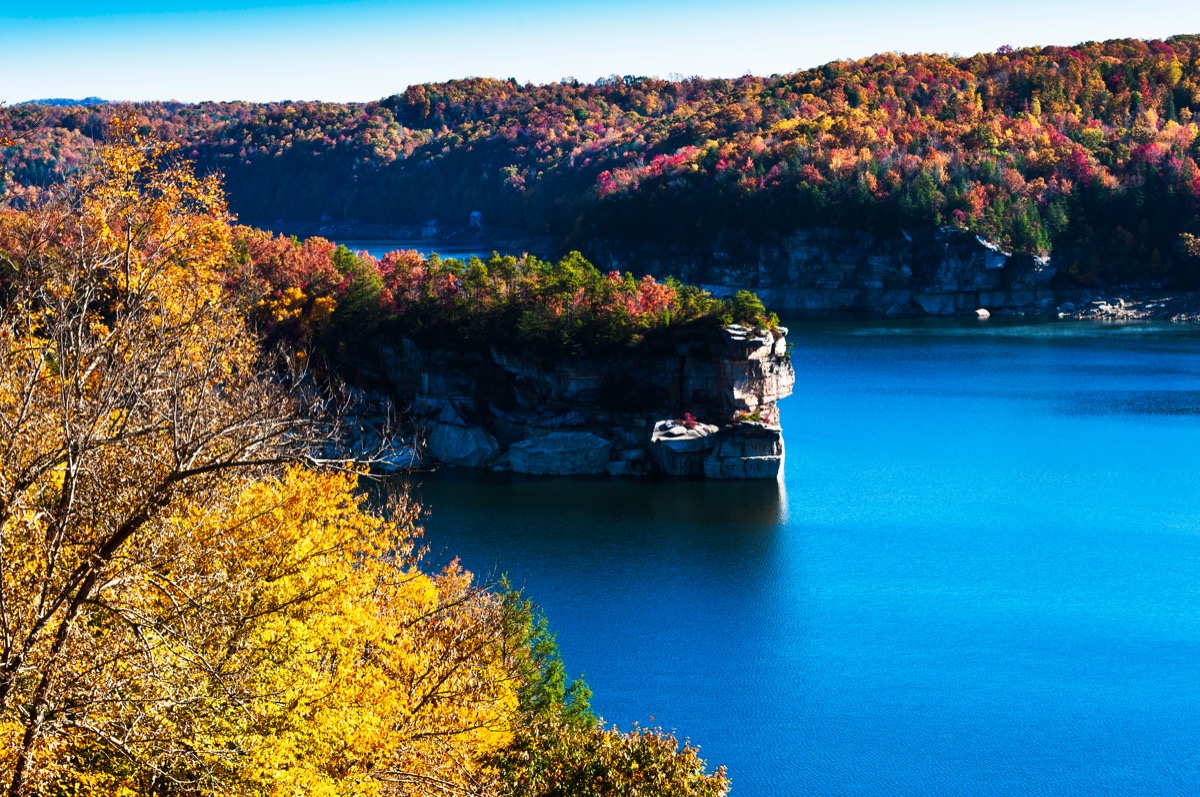 forest and lake in west virginia