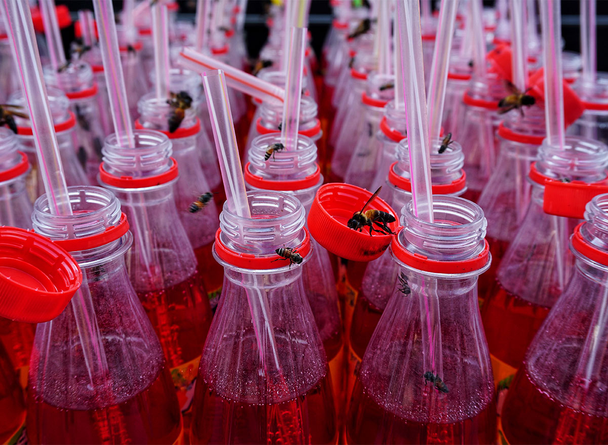 bees on soda bottles with plastic straws