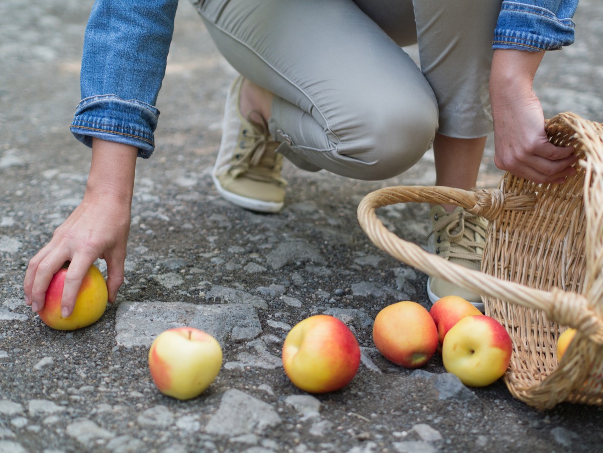 apples spilled from the basket on the ground