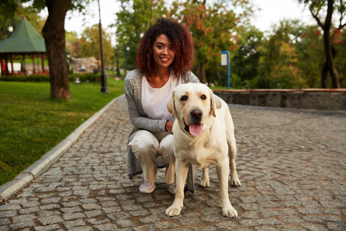 young smiling african american woman in casual clothes sitting near dog while walking in park