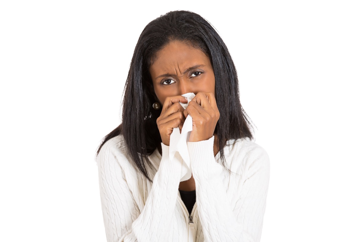 Closeup portrait sick young woman student, worker, employee with allergy, germs, cold, blowing nose with kleenex, looking miserable, unwell very sick, isolated on white background