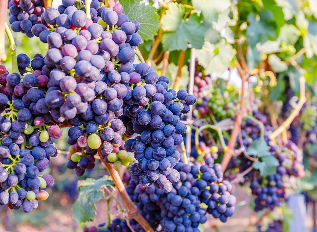 Different Types of Red Wine, Explained by a Sommelier — Eat This Not That