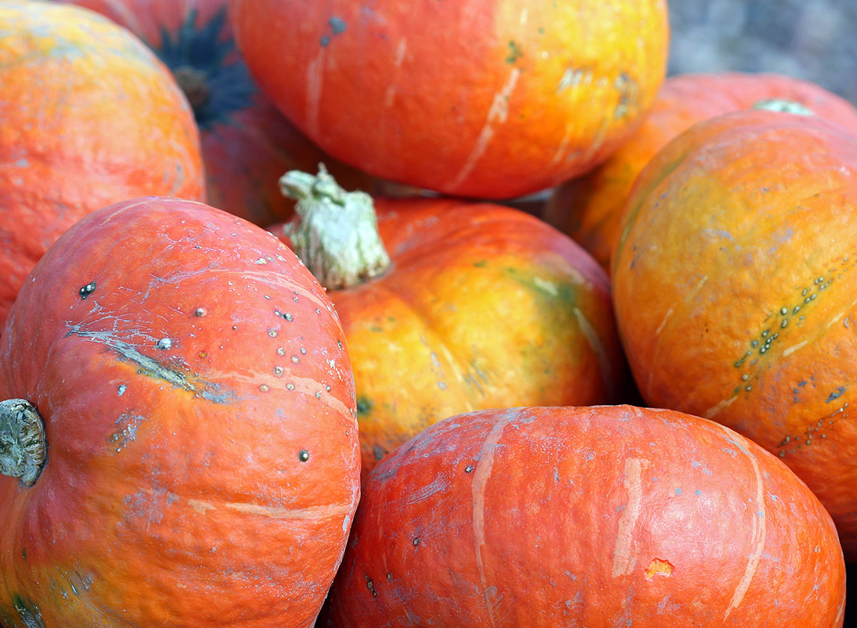 ambercup squash pile