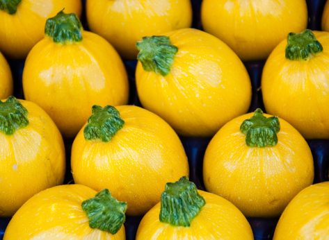 What Are the Different Types of Squash?