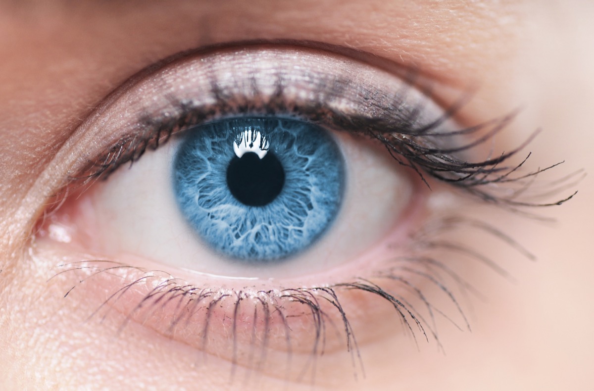 Macro image of human eye