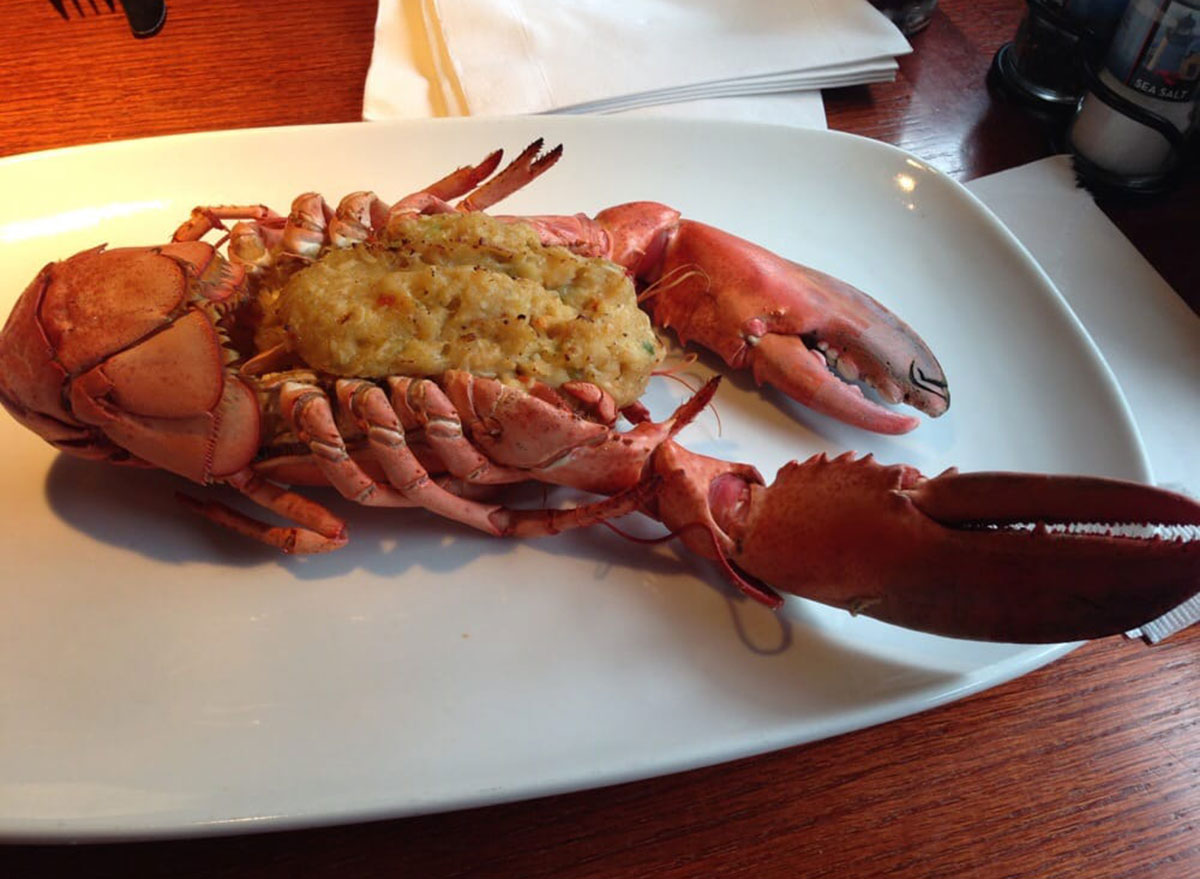 red lobster maine lobster