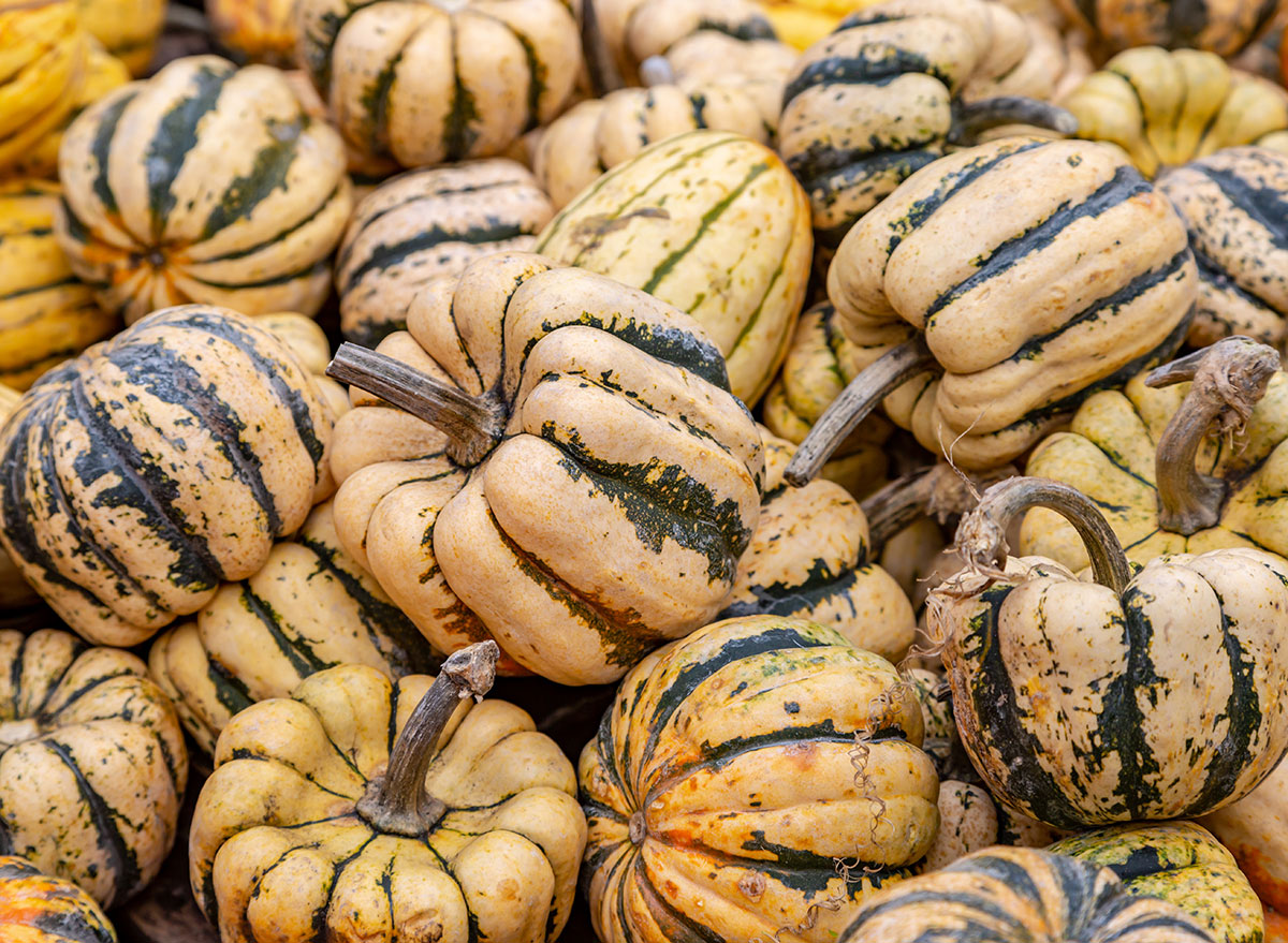 sweet dumpling squash pile